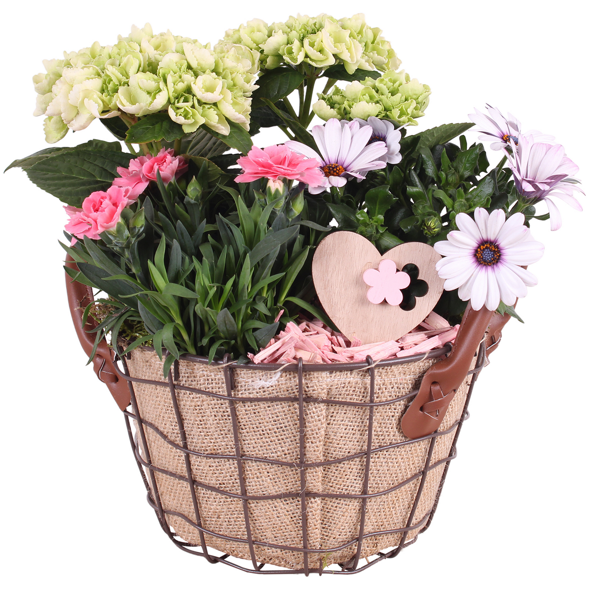 Drahtkorb mit 3 Pflanzen Jute Ledergriffe Herz-Deko 21 cm