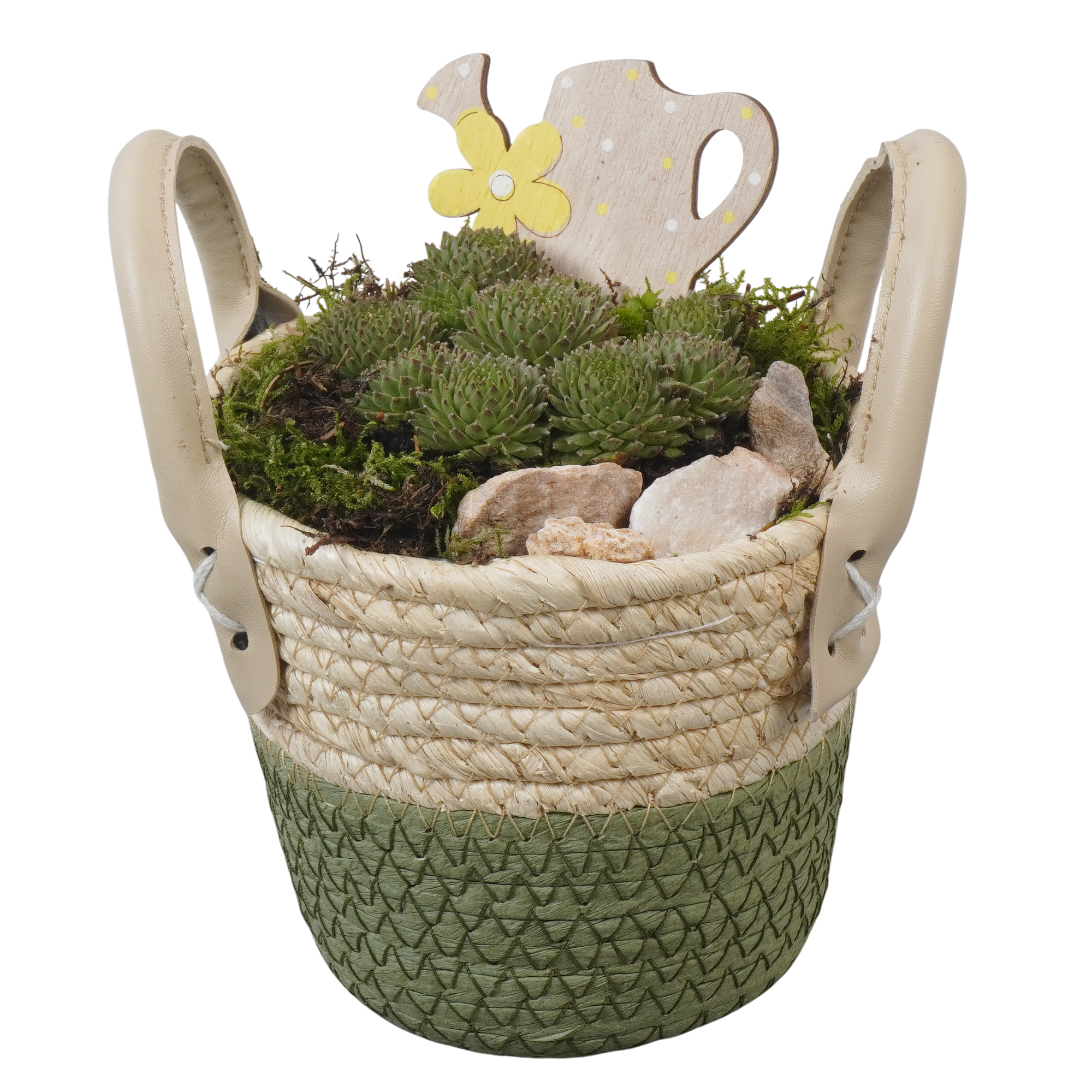 Seegraskorb bepflanzt 14 cm