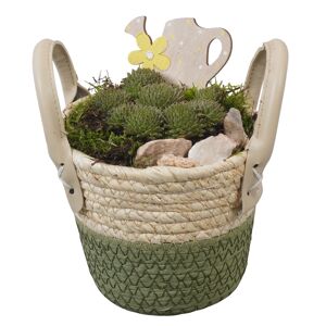 Seegraskorb bepflanzt 14 cm