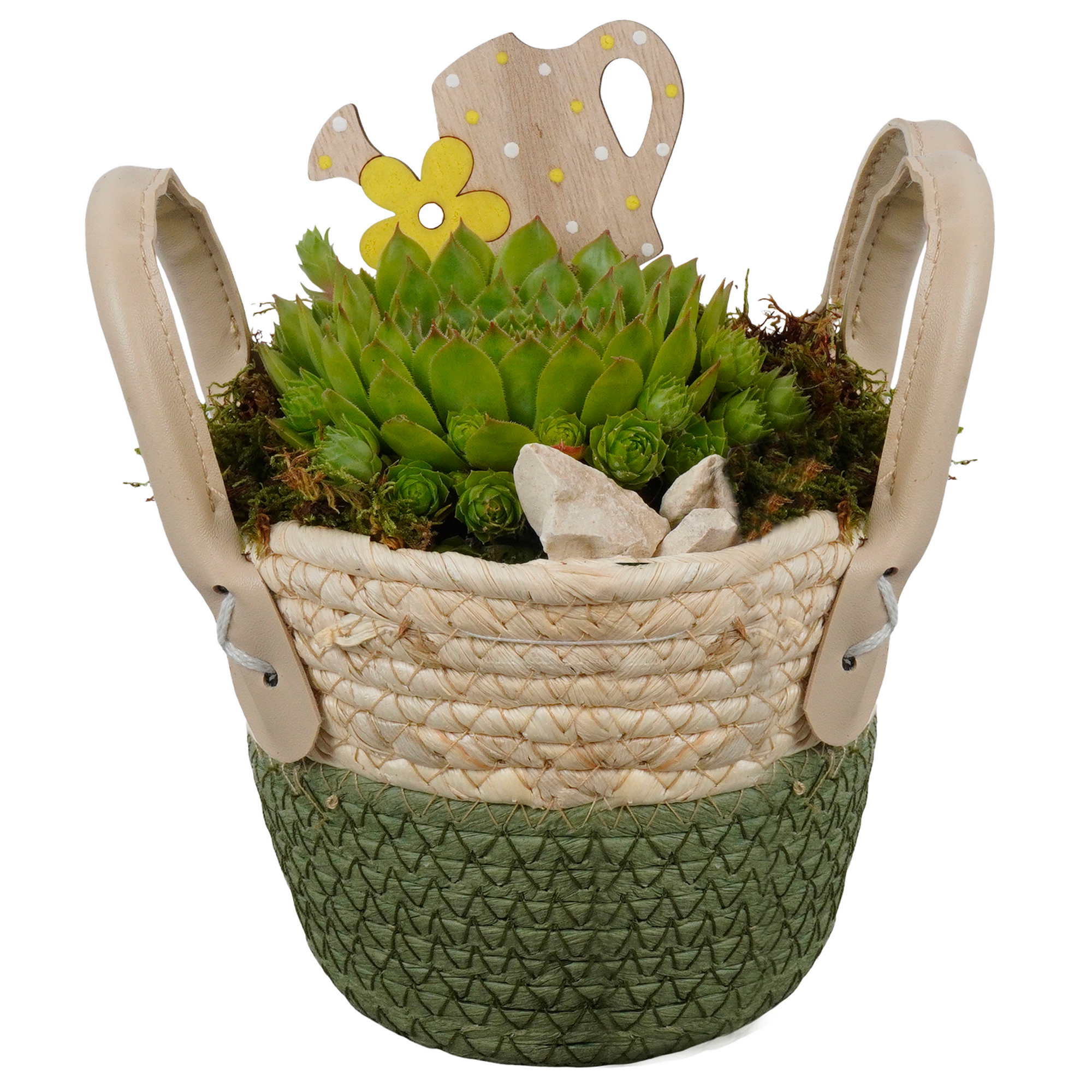 Seegraskorb bepflanzt 14 cm