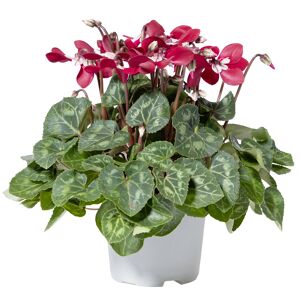 Keramikschale herbstlich 15 cm Topf