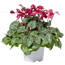 Keramikschale herbstlich 15 cm Topf