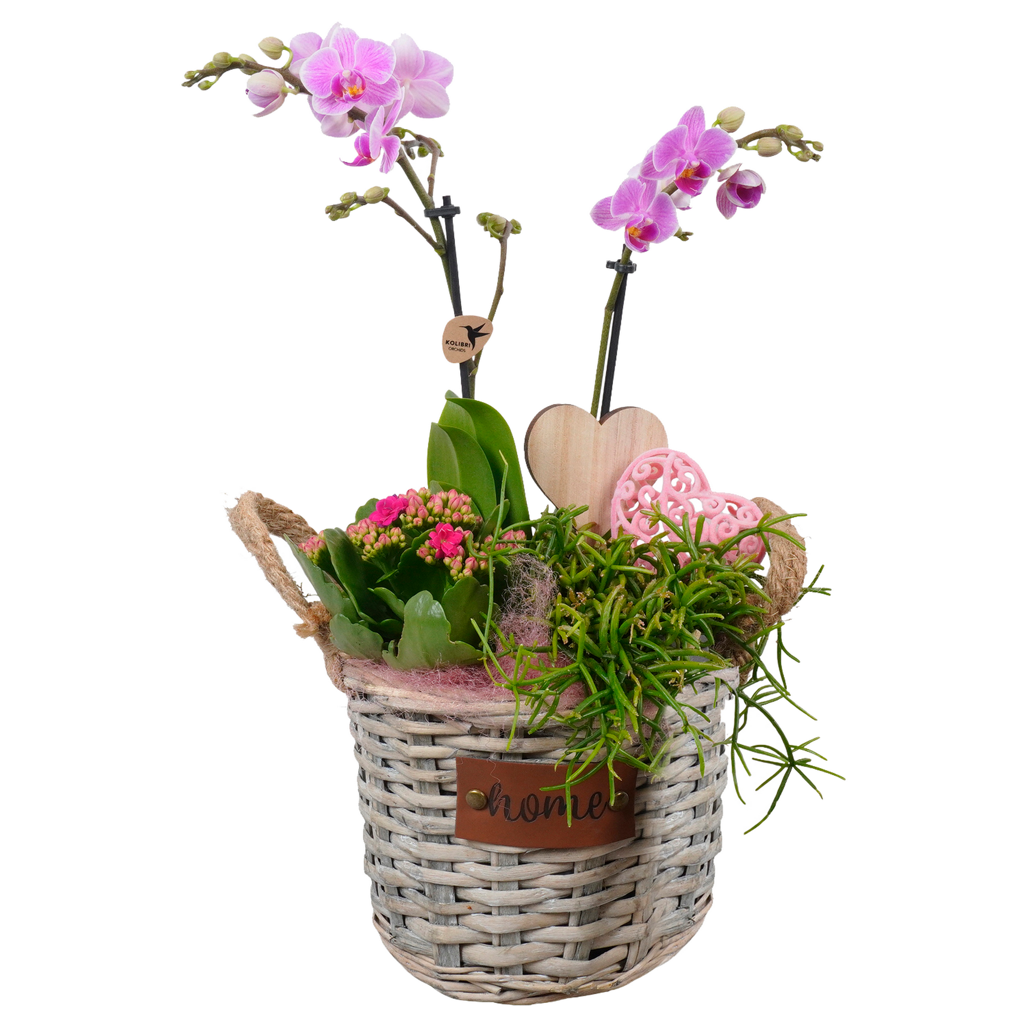 Blühpflanzen im Korb 19 cm Topf