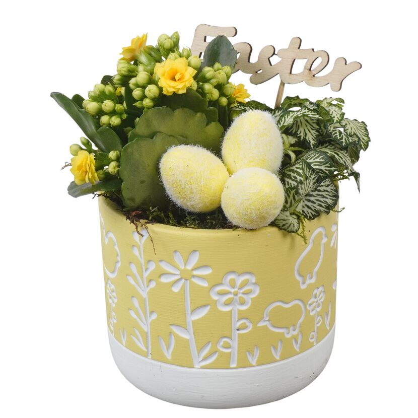 Oster-Arrangement 12 cm Topf