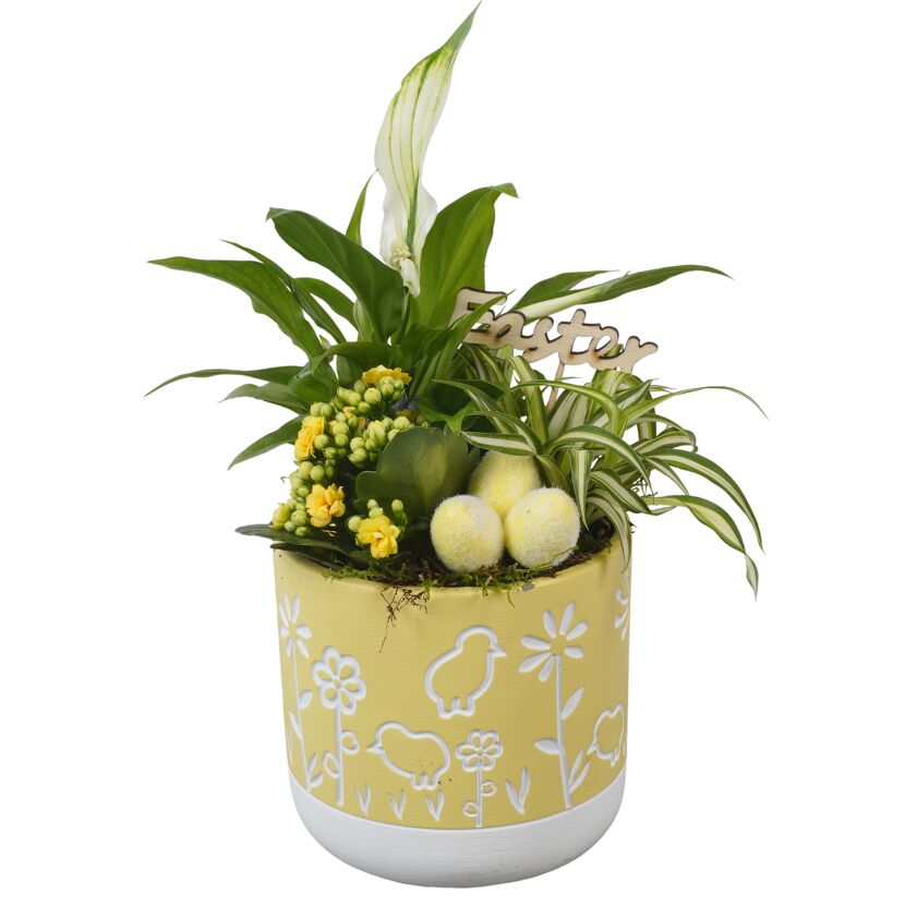 Oster-Arrangement 14 cm Topf