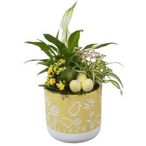 Oster-Arrangement 14 cm Topf