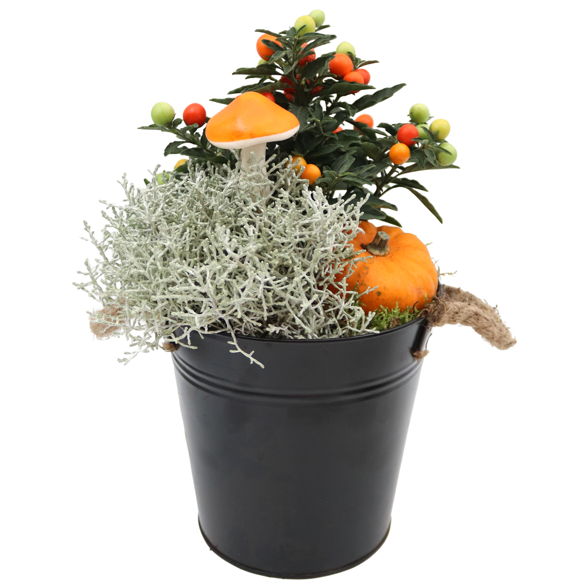Zinktopf herbstlich bepflanzt 18 cm Topf
