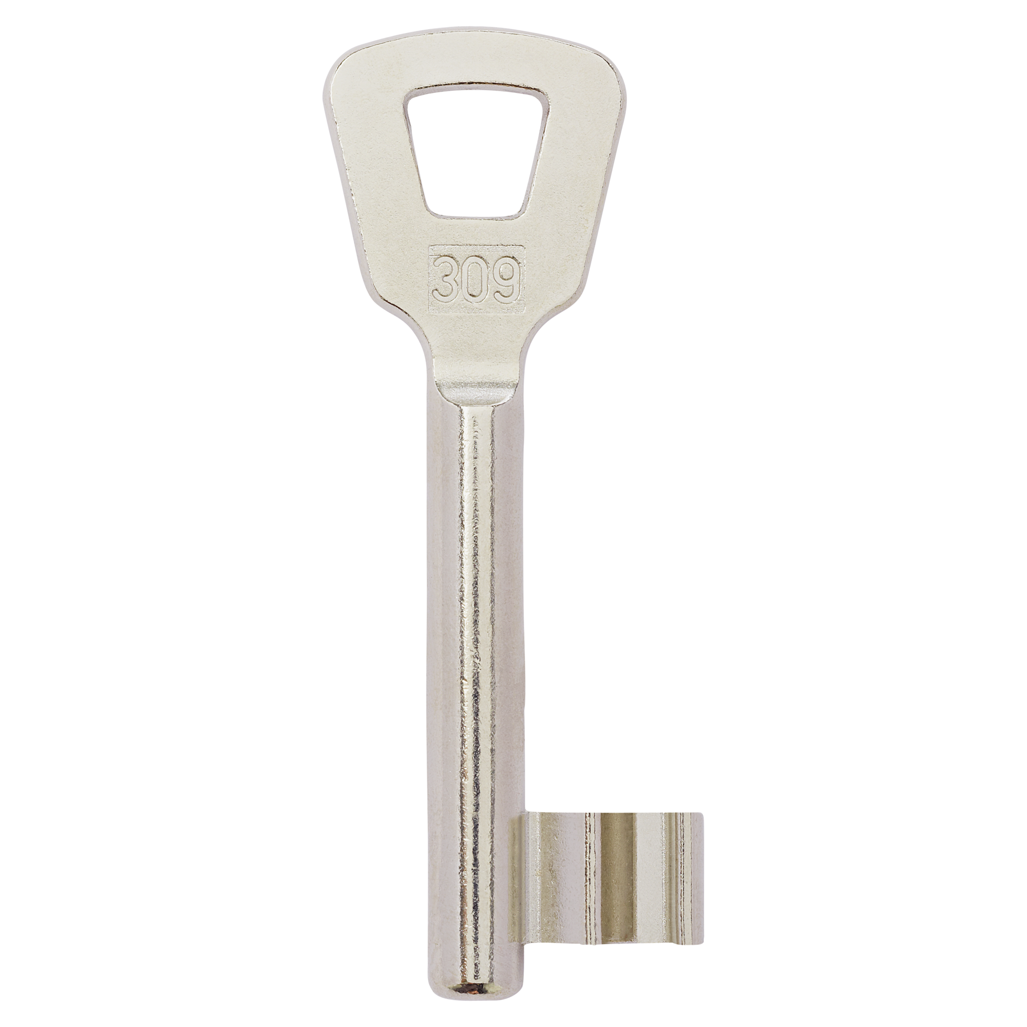 Silberner Buntbart-Schlüsselrohling