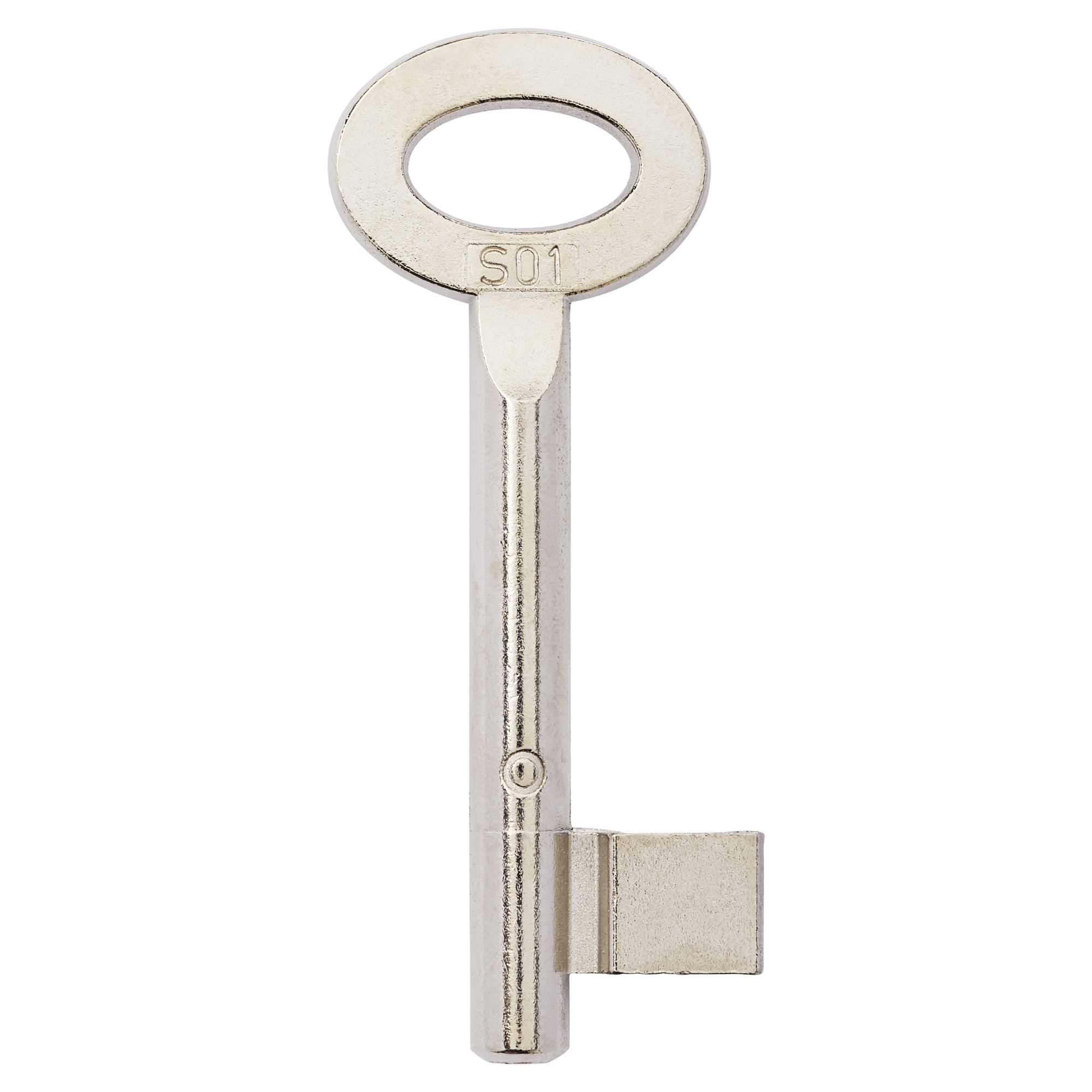 Silberner Buntbart Schlüsselrohling