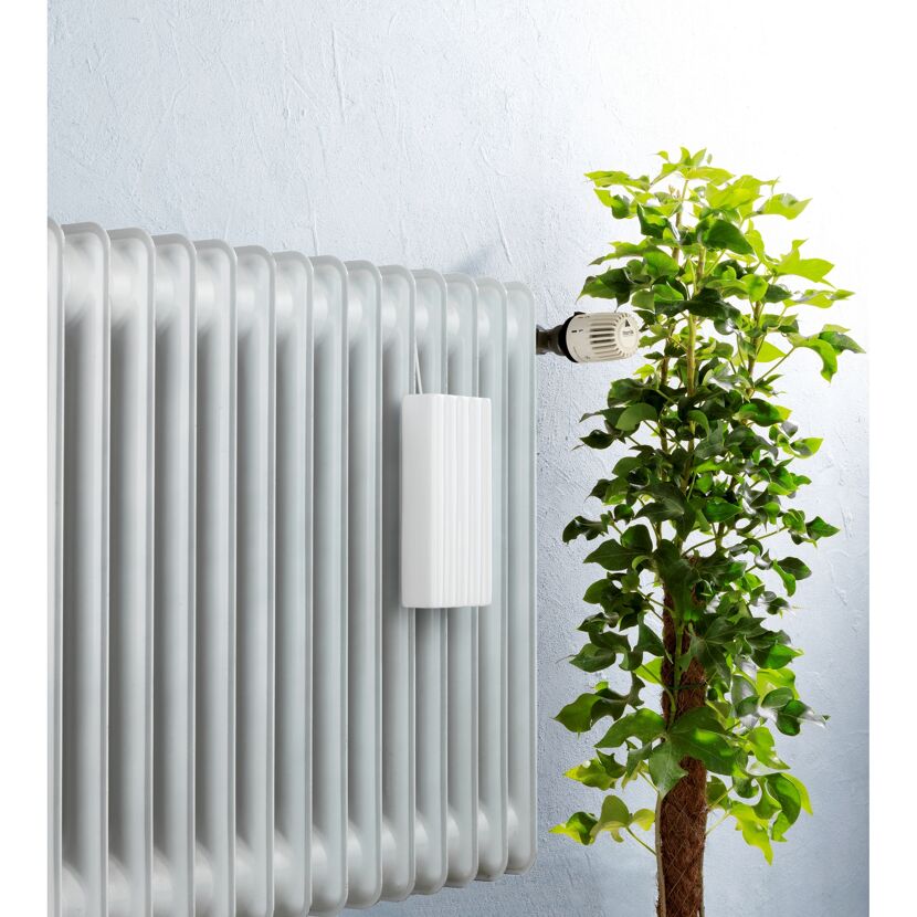 Heizkörper mit Thermostat und Luftbefeuchter