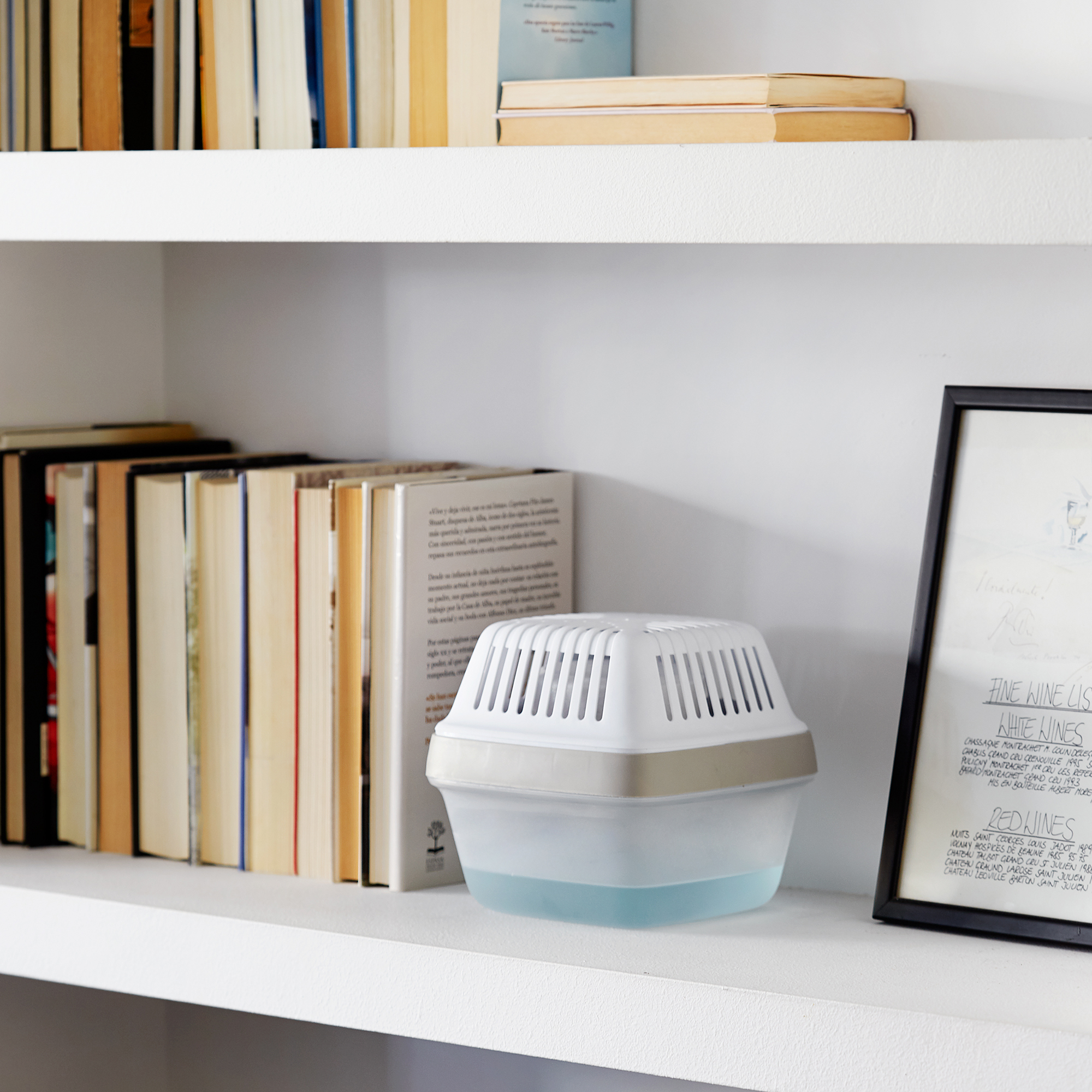 Raumentfeuchter grün 450 g für 15 m²