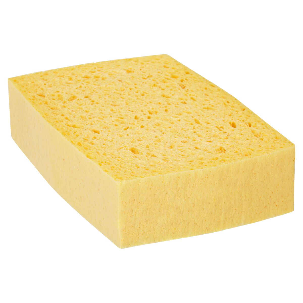 Haushaltsschwamm 