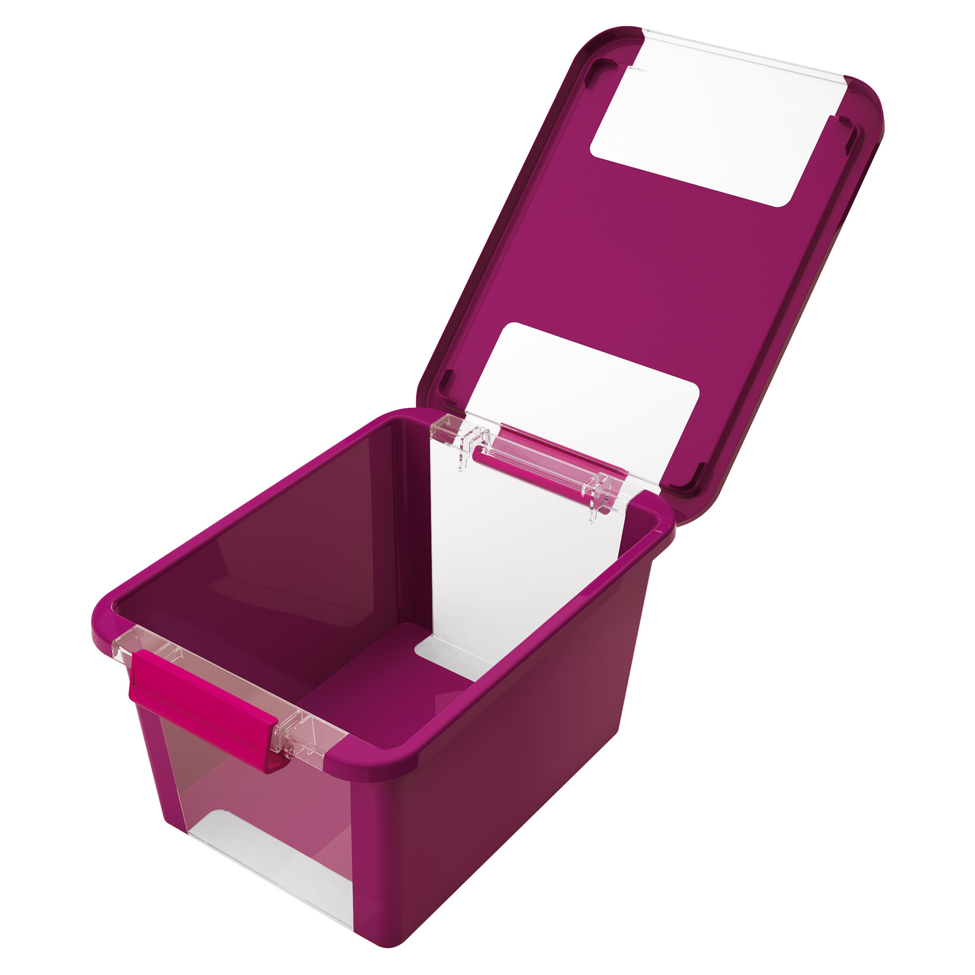 Lila Aufbewahrungsbox mit transparentem Deckel, geöffnet