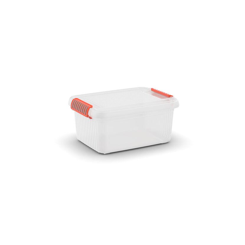 Weiße transparente Aufbewahrungsbox mit orangen Verschlüssen