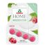 Frosch HOME WC-Frische-Spüler Himbeere