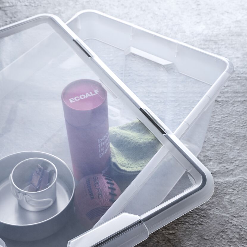 Zwei transparente Boxen mit Inhalt