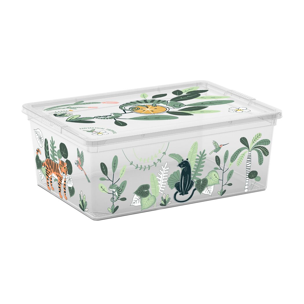Durchsichtige Box mit tropischem Muster