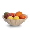 Obstschale mit Mango, Zitronen und Mandarinen