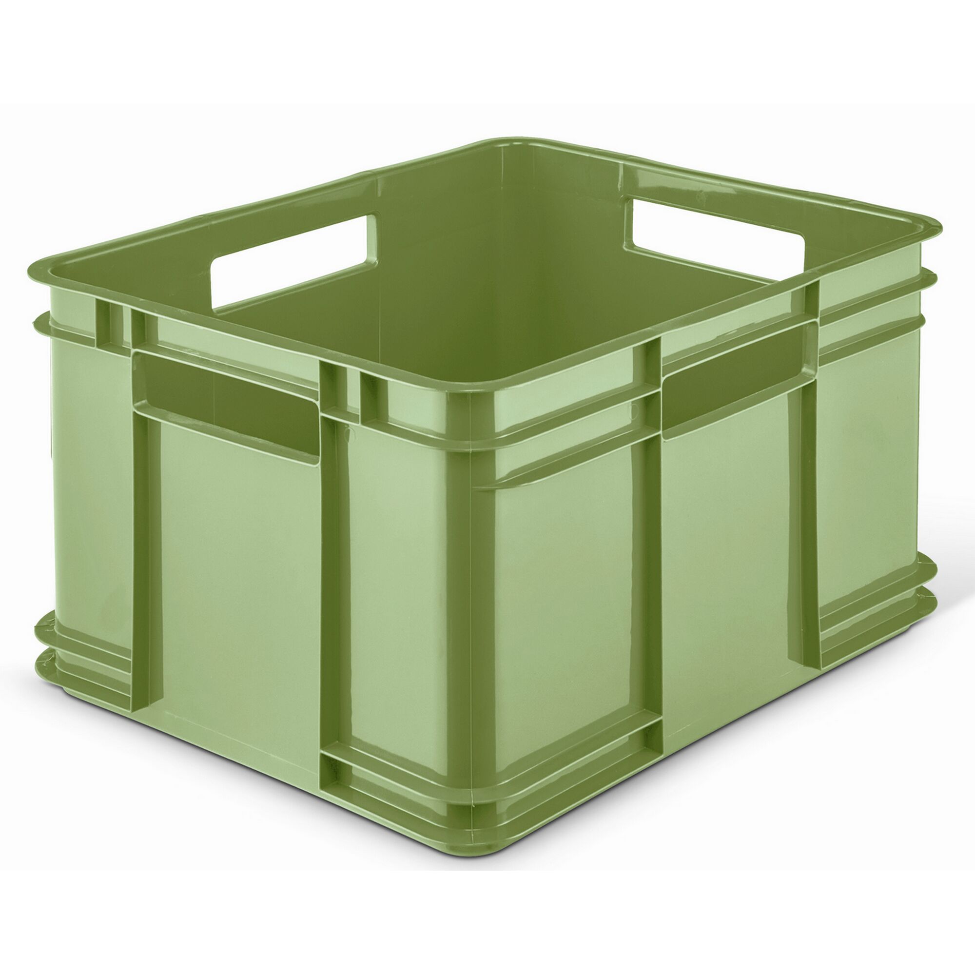 Grüne Aufbewahrungsbox aus Plastik