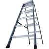 Aluleiter mit sechs Sprossen