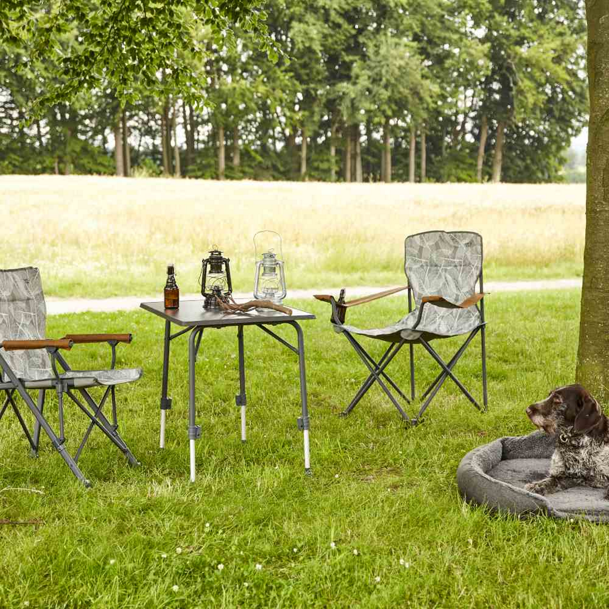 Camping-Regiestuhl 'Natura' grau 73 x 55 x 99 cm