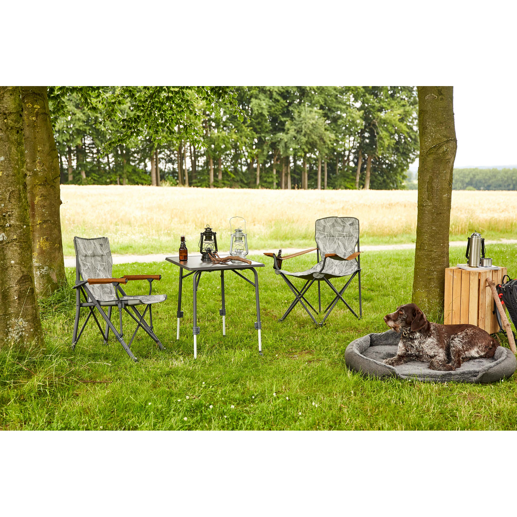 Camping-Regiestuhl 'Natura' grau 73 x 55 x 99 cm + product picture