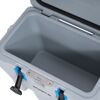 Kühlbox 'Premium' Kunststoff grau 26 l 33 x 55 x 41 cm