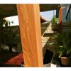 Pergola 'Florenz' Aluminium Holzoptik mit Sonnensegel 350 x 505 x 236 cm