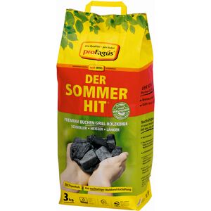 Buchen-Grillholzkohle "Der Sommer-Hit" 3 kg