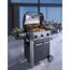 Gasgrill Grenada mit Grillgut
