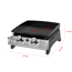 Plancha-Gasgrill 'Austin II' 2 Brenner