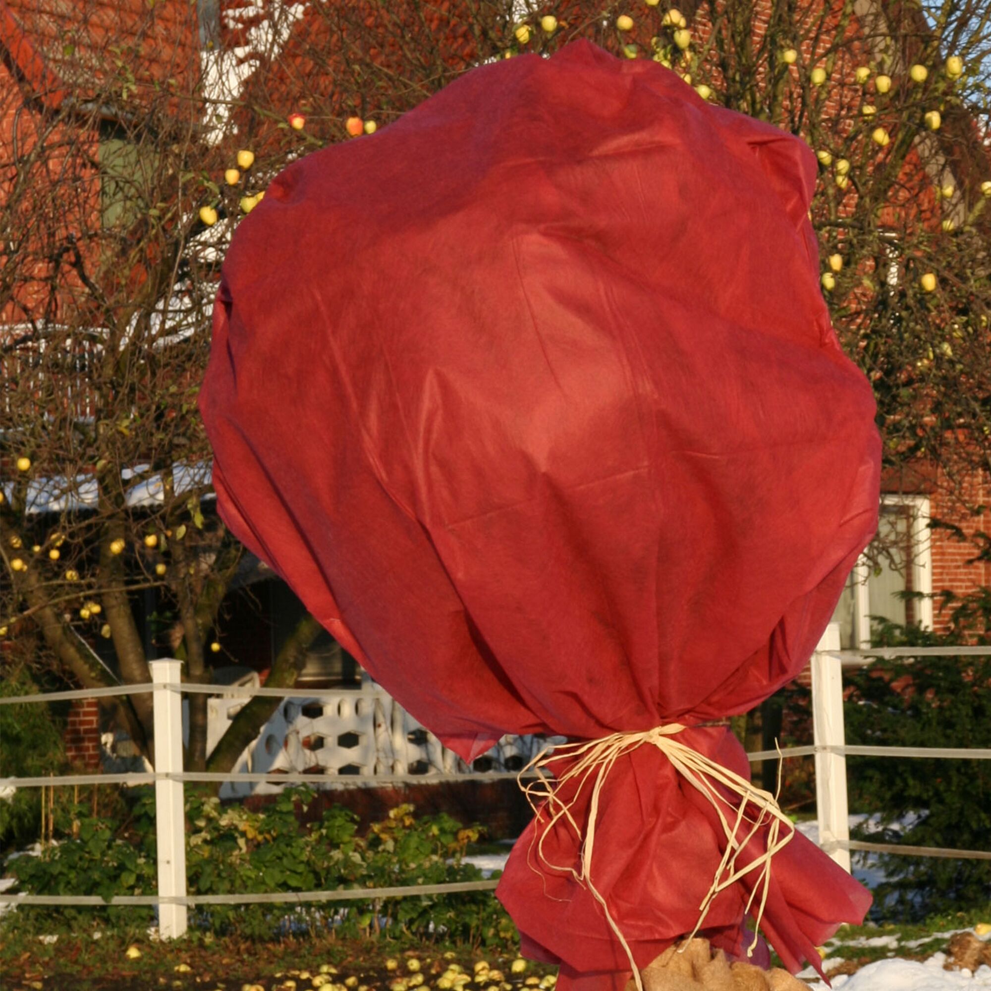 Winterschutzvlies in Rot für Pflanze