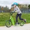 BMX Scooter 'Snake' grün ab 6 Jahre