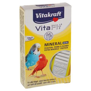 Pickstein "Vita Fit®" Mineral Mini 35 g
