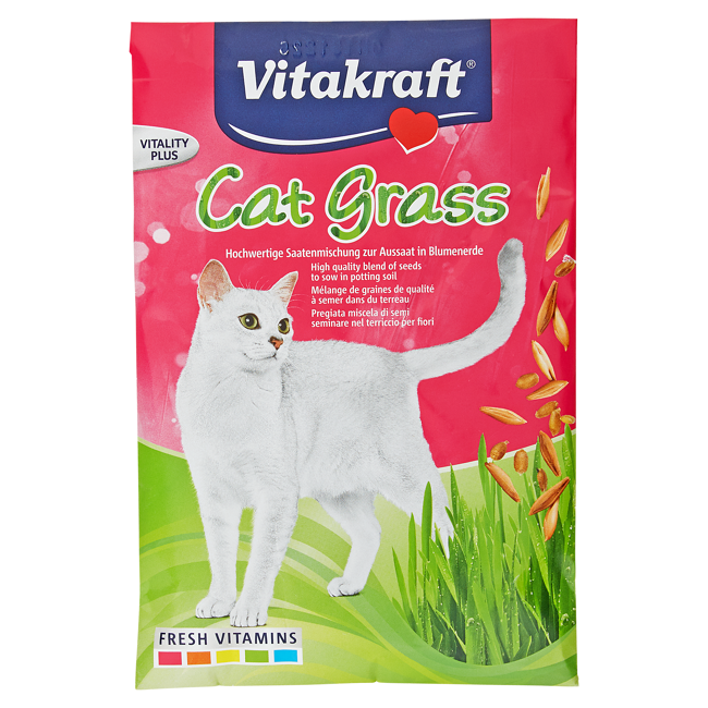 Bild von Katzengras-Saatenbeutel 50 g