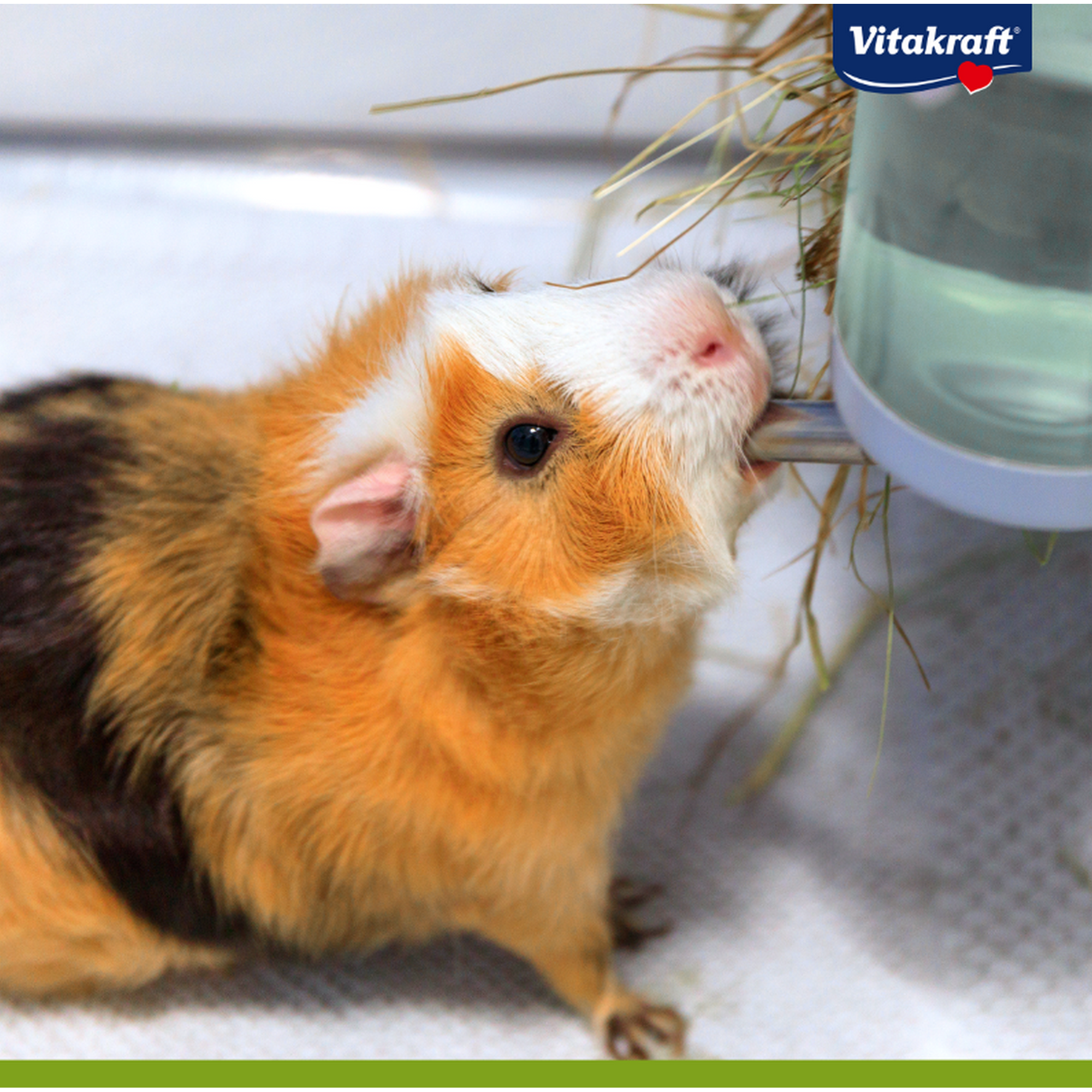 Trinkwasser 'Vita Fit® Nager-Trank®' 500 ml