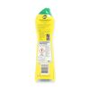 Viss Scheuermilch Citrus 500 ml Flasche