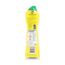 Viss Scheuermilch Citrus 500 ml Flasche