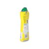 Viss Scheuermilch Citrus 500 ml Flasche