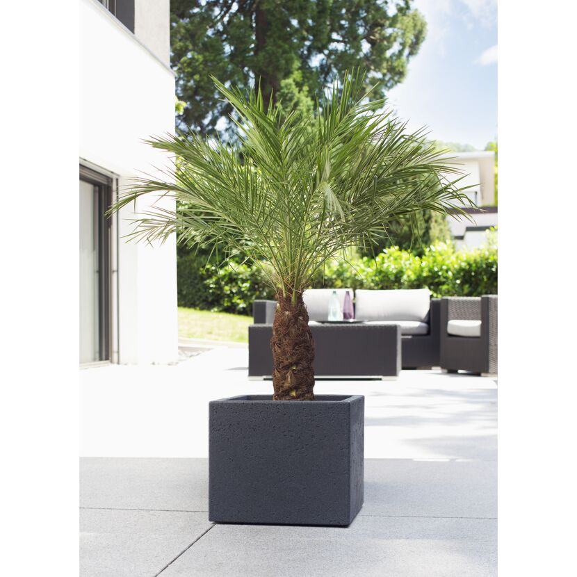 Pflanzwürfel 'C Cube' Stony Black 28,5 x 27 cm