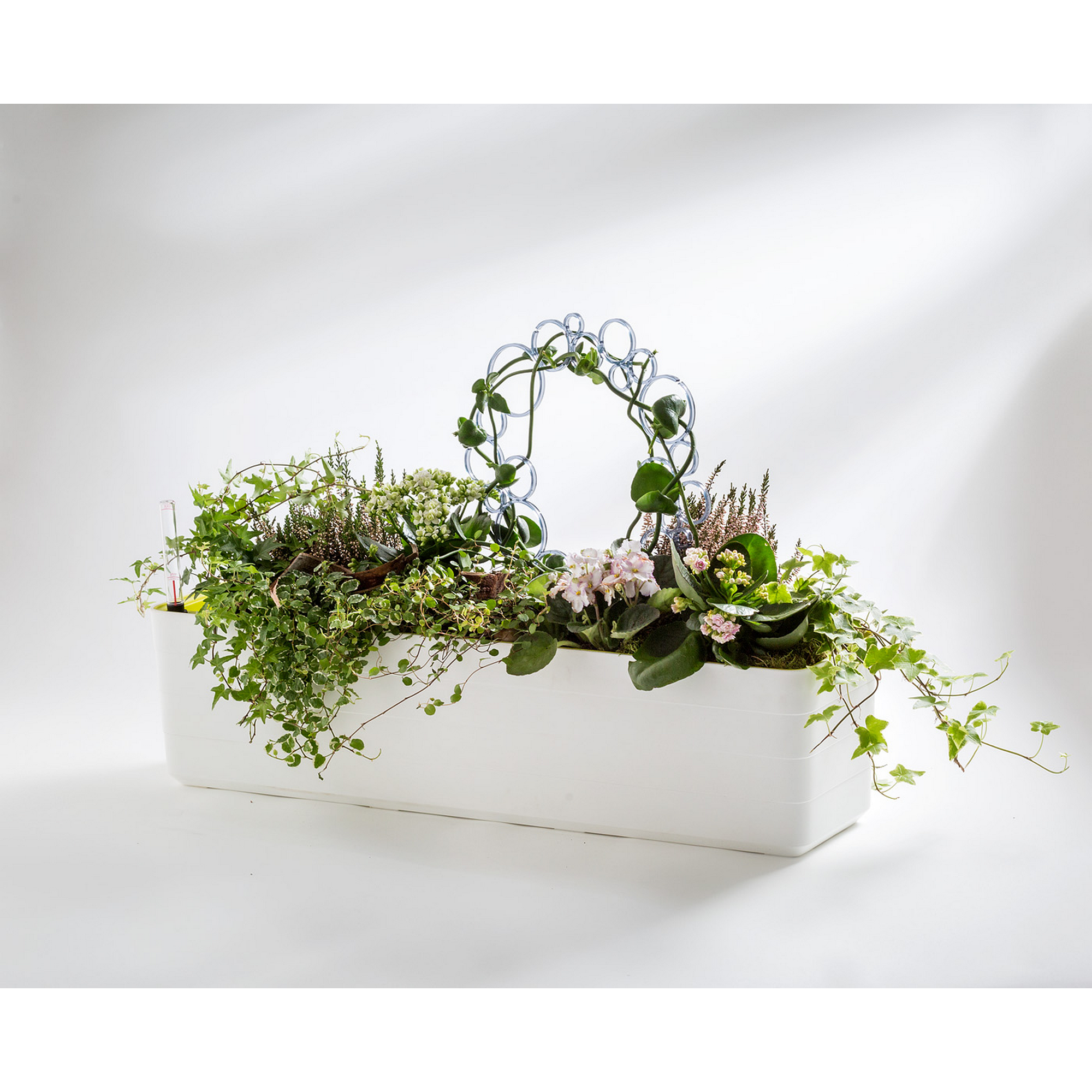 Blumenkasten 'Berberis' weiß 60 cm + product picture