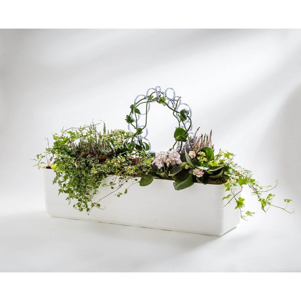 Weißer Blumenkasten mit verschiedenen Pflanzen und Rankhilfe
