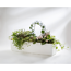 Verkleinertes Bild von Blumenkasten 'Berberis' weiß 60 cm
