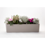 Verkleinertes Bild von Blumenkasten 'Berberis' taupe 80 cm