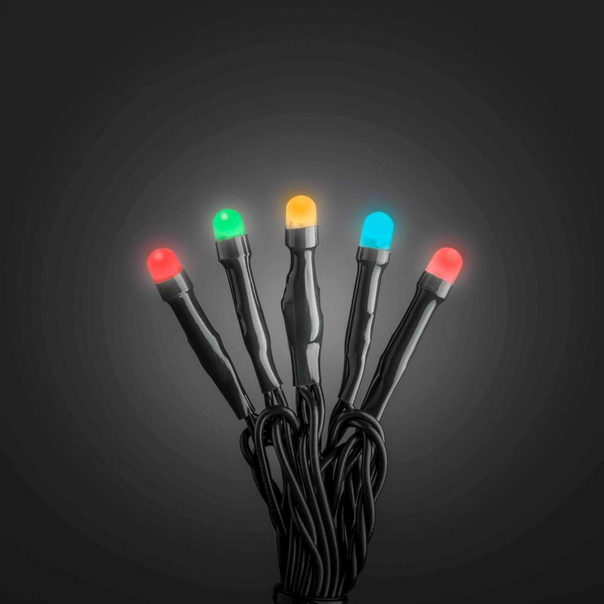 Lichterkette mit fünf bunten LED-Leuchten