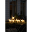 Verkleinertes Bild von LED-Acryl 'Elche' 40 LEDs warmweiß 15,5 x 13 cm 5er-Set