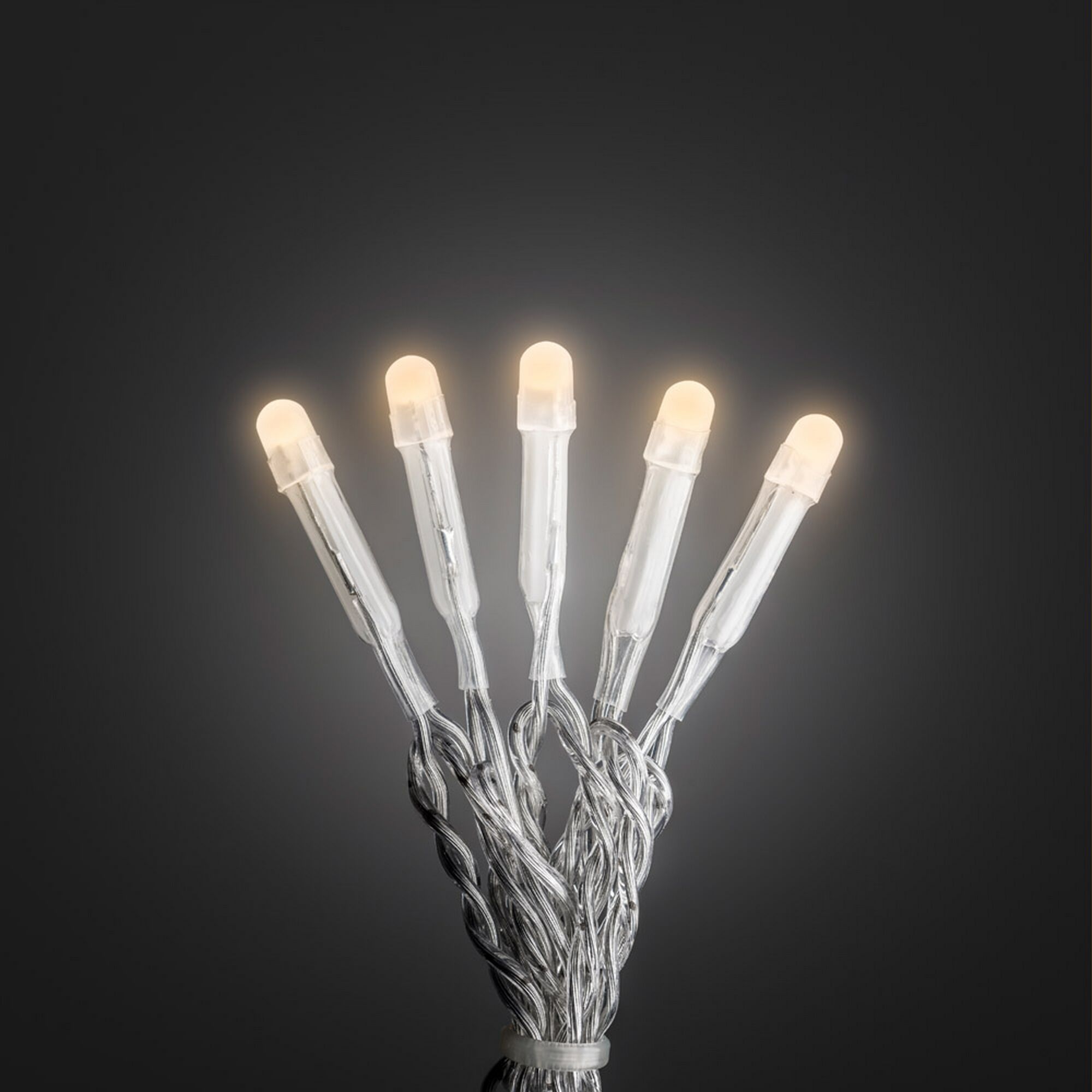 LED Lichterkette mit warmweißen Lichtern