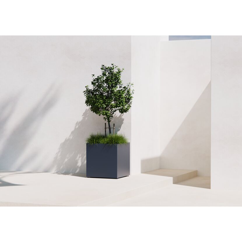 Kleiner Baum in einem quadratischen, grauen Pflanzkasten.