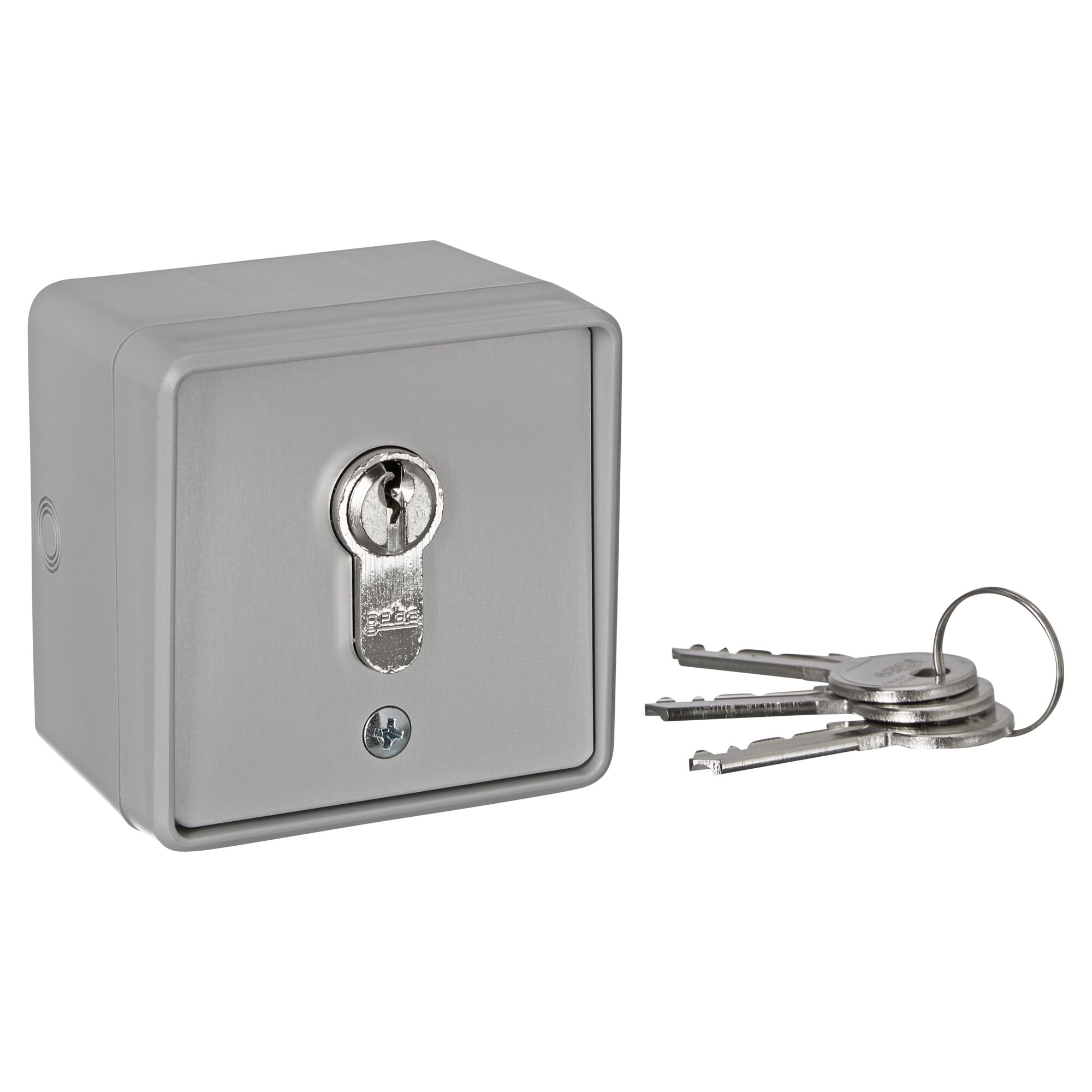 Grauer Schlüsseltaster und Schlüsselbund