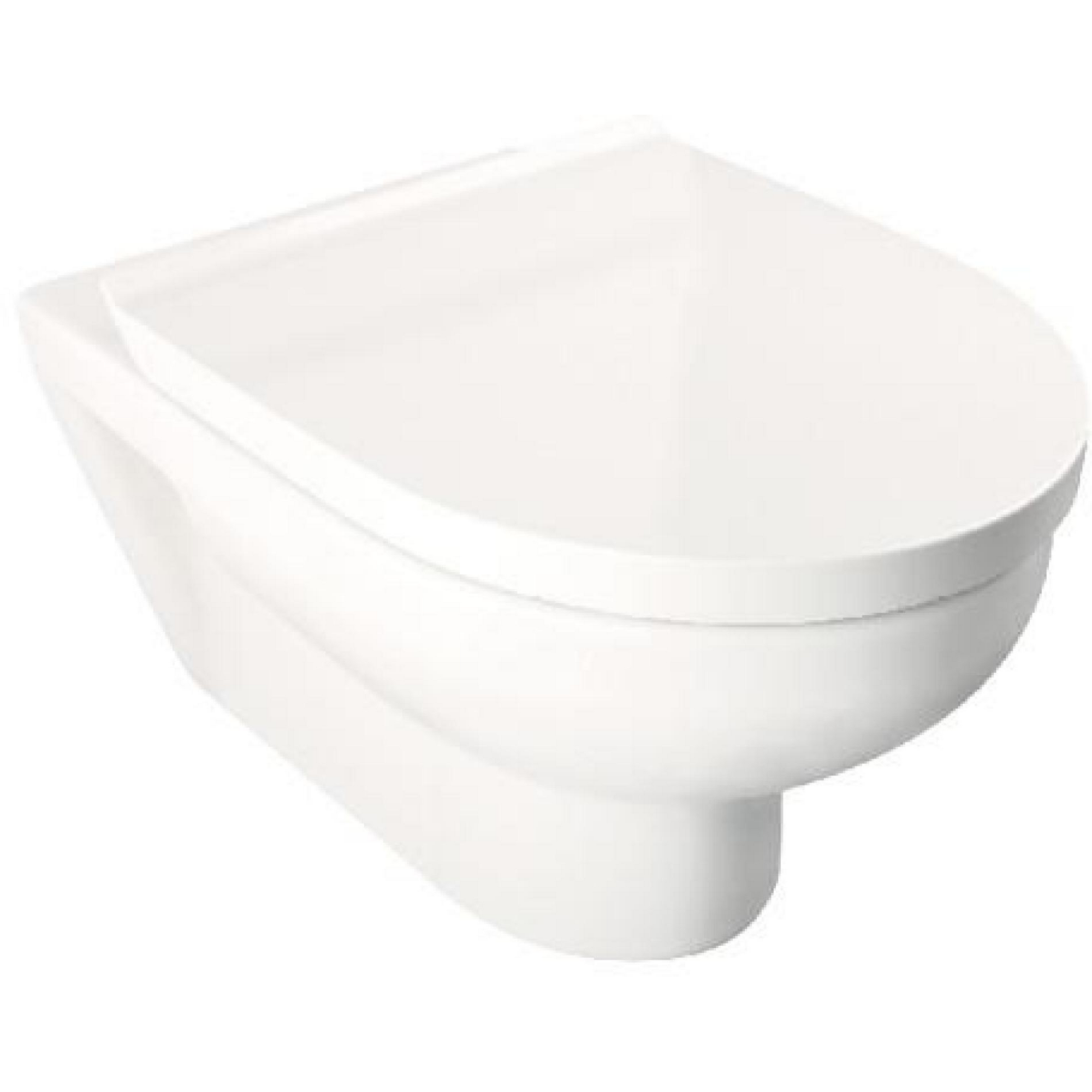 Wand-WC-Set 'Durastyle Basic' spülrandlos weiß inkl. Sitz + product picture